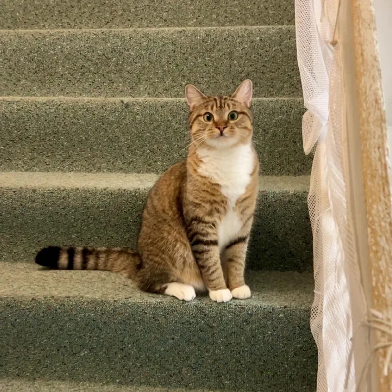 Dolly & Duke thumbnail 6