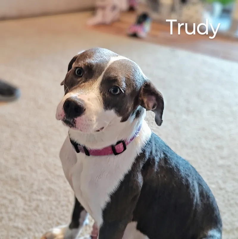 TrudyCome Meet thumbnail 4