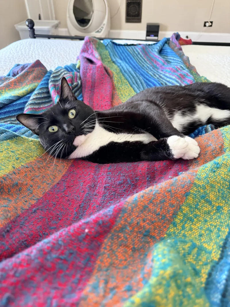 Baseball thumbnail 2