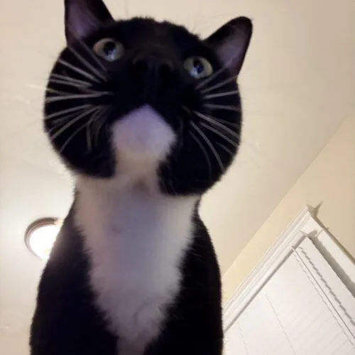 Baseball thumbnail 4