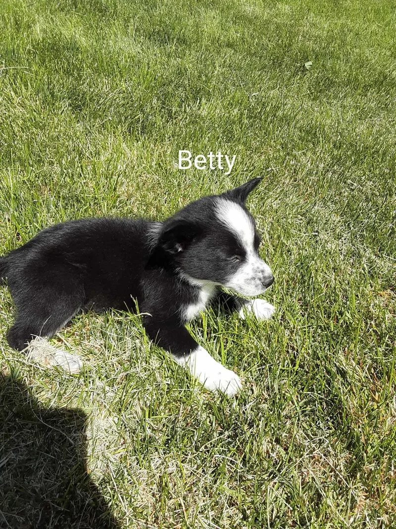 Betty