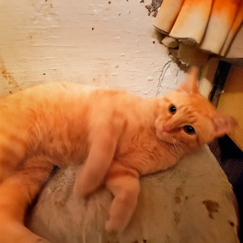 Tommy Mclin thumbnail 2