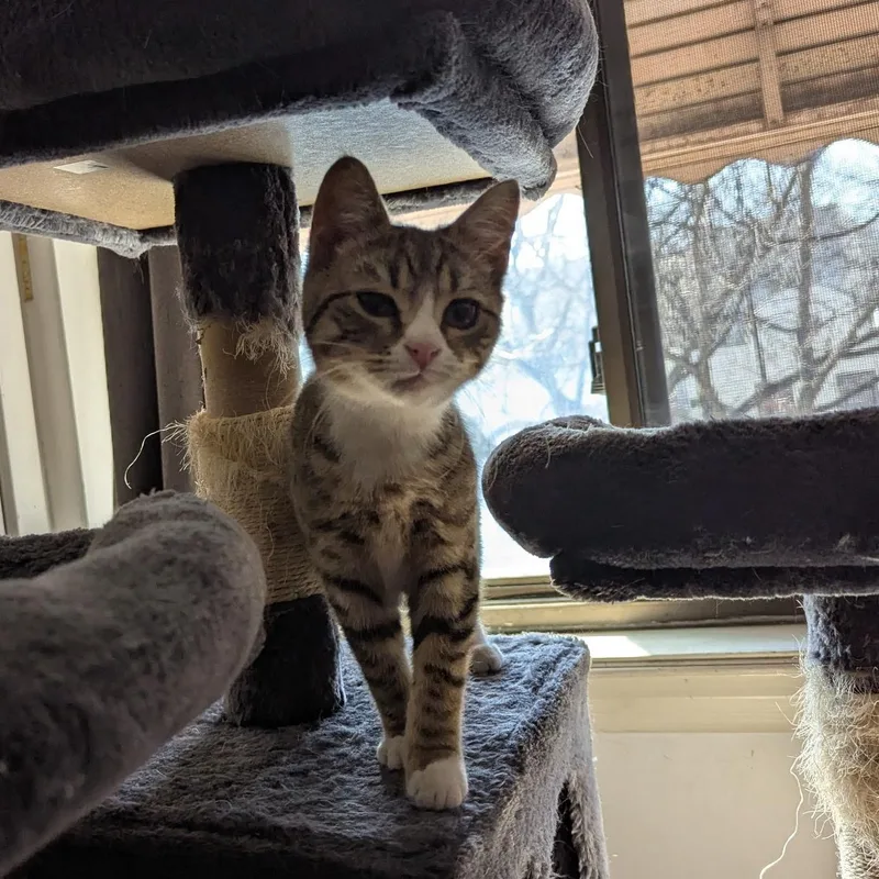 Sweet & Spunky Pomegranate thumbnail 3