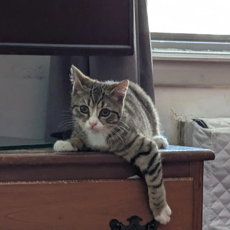 Sweet & Spunky Pomegranate thumbnail 5