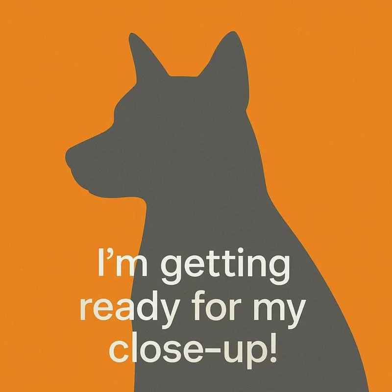 A young small-sized female Cattle Dog dog named Venus Flytrap for adoption in Los Angeles, CA