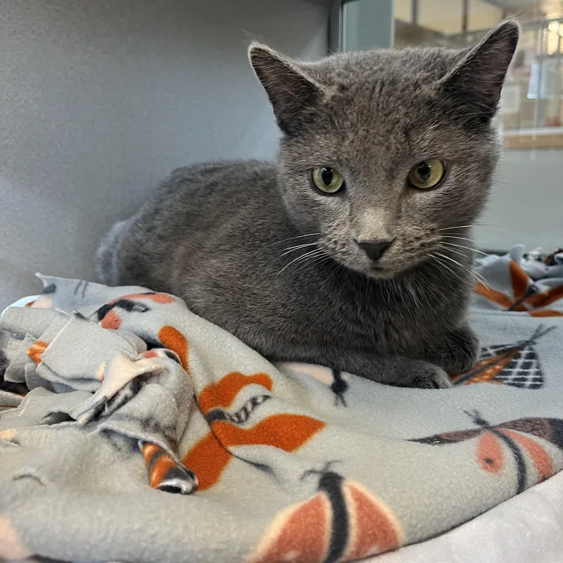 Scotland thumbnail 2