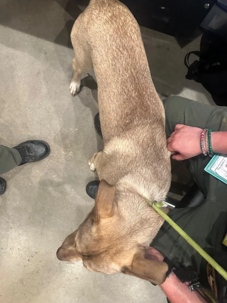 Kidflash thumbnail 2