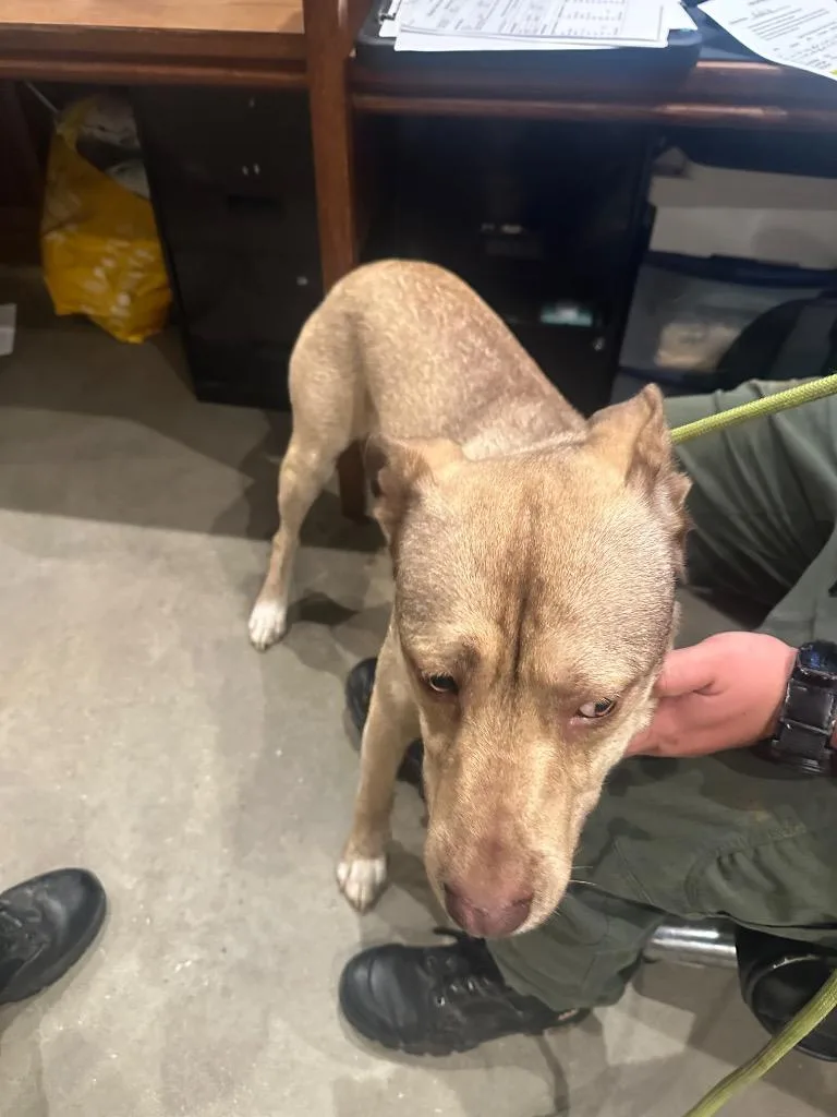 Kidflash thumbnail 4