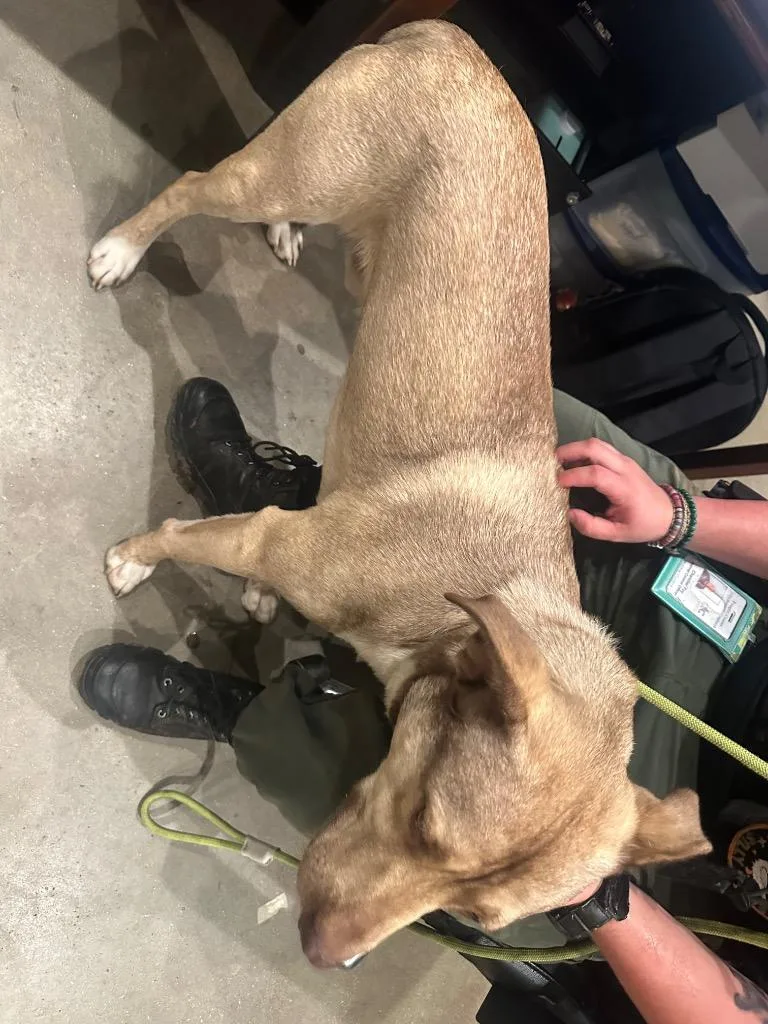 Kidflash thumbnail 5