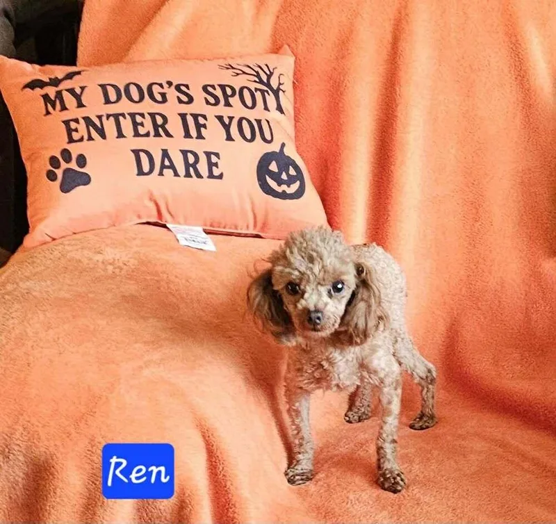 Ren thumbnail 2