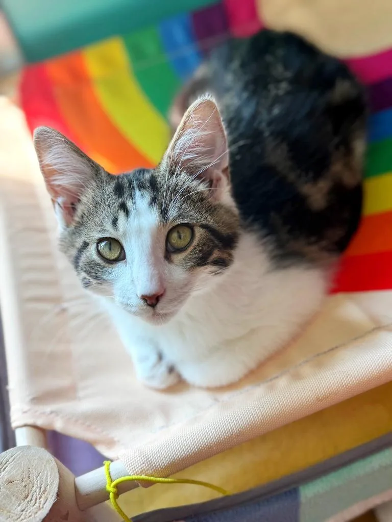 Crash Bandicoot thumbnail 2