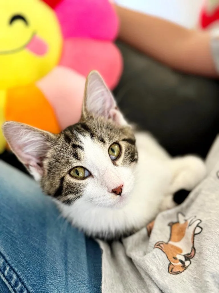 Crash Bandicoot thumbnail 6