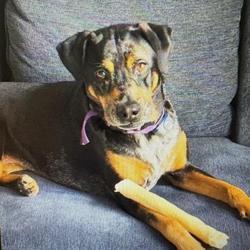 Mary AKA Roux
