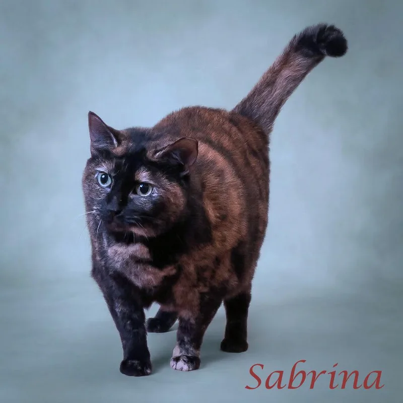 Sabrina C thumbnail 2