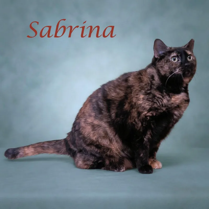 Sabrina C thumbnail 3