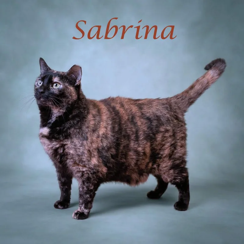 Sabrina C thumbnail 4