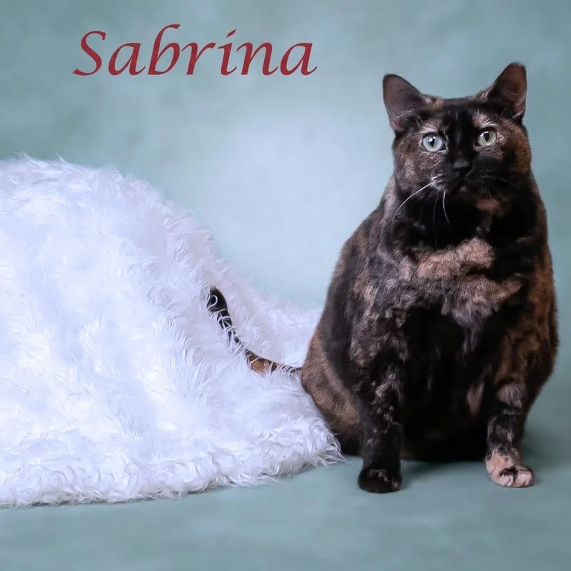 Sabrina C thumbnail 5