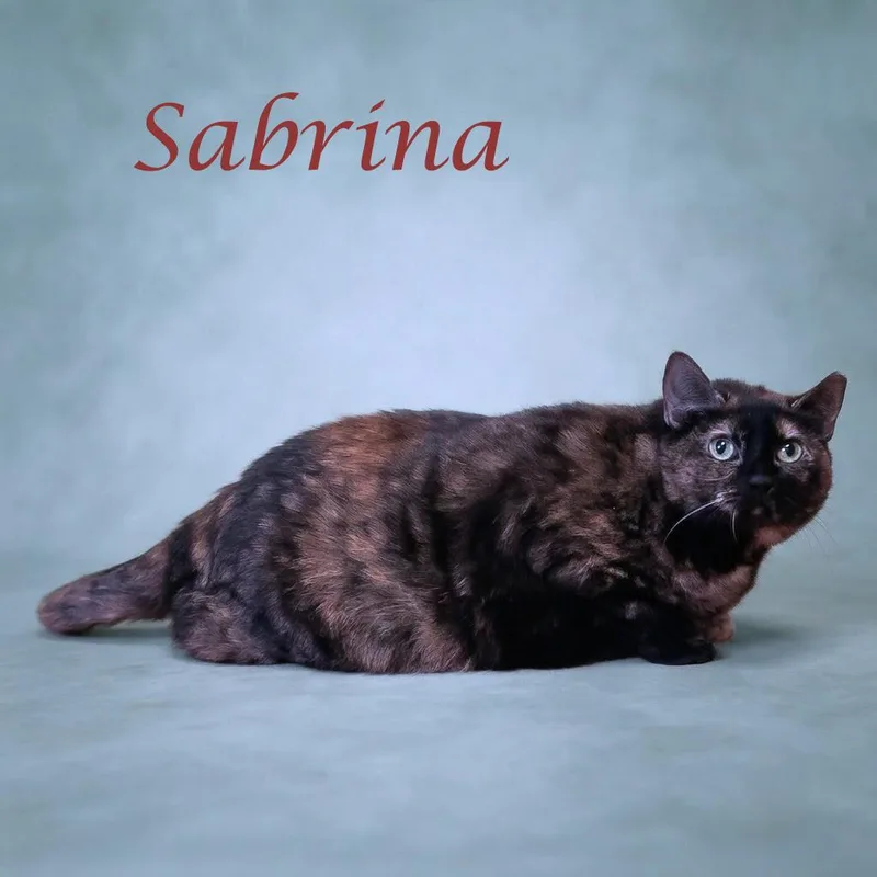 Sabrina C thumbnail 6