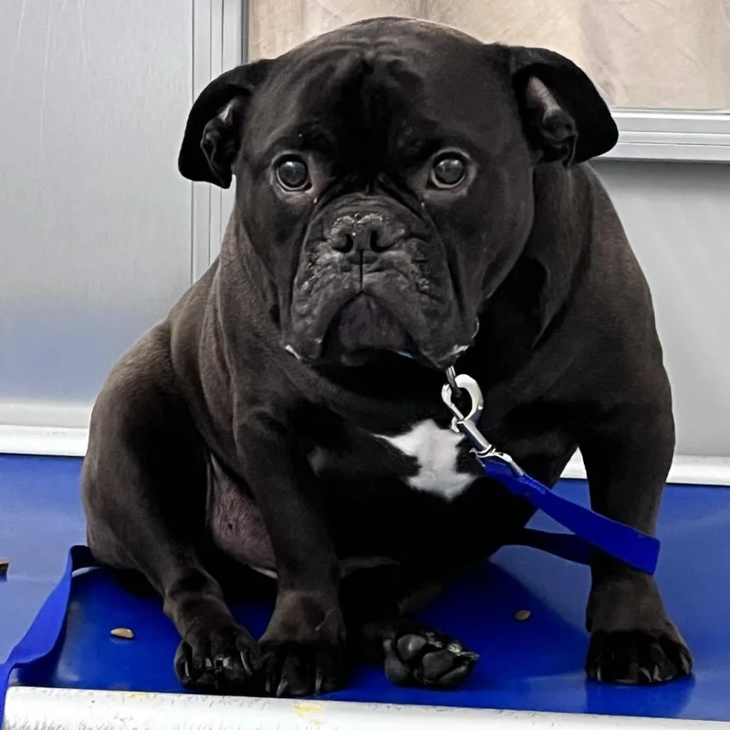 Benny