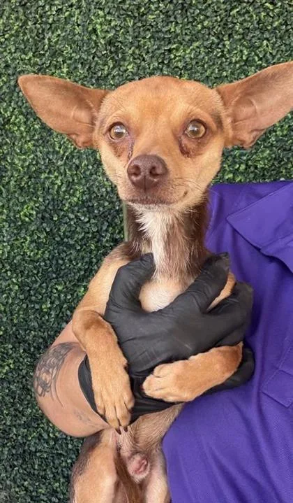 60628141 thumbnail 2