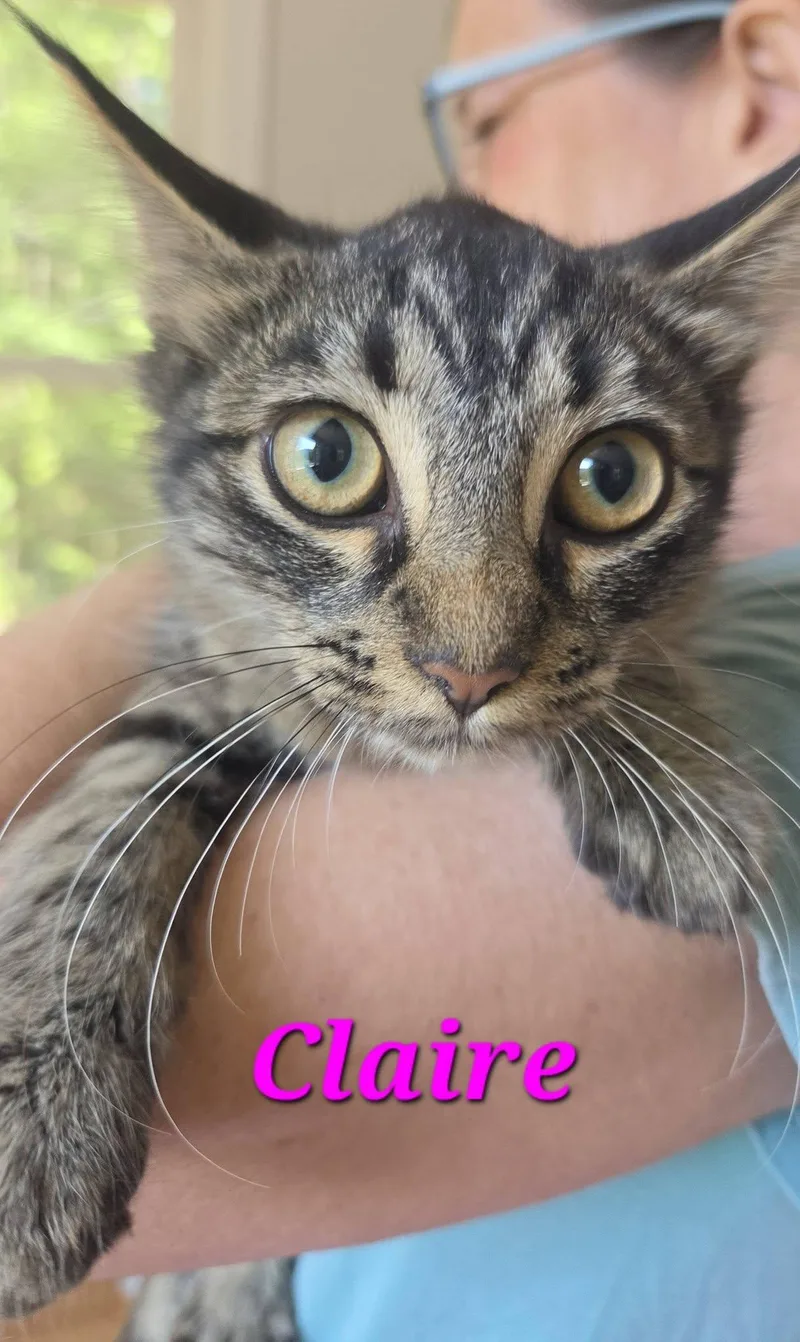 Claire
