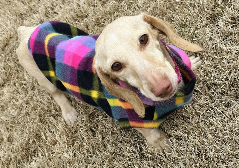 Luna In Ky thumbnail 4