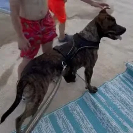 Jake thumbnail 3