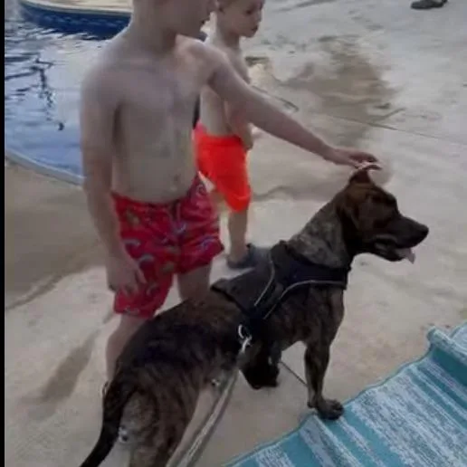 Jake thumbnail 6