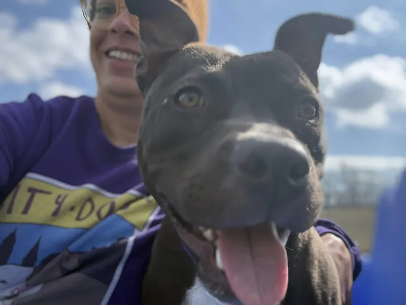 Himalaya thumbnail 4