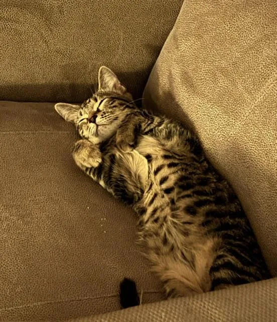 Storm thumbnail 3