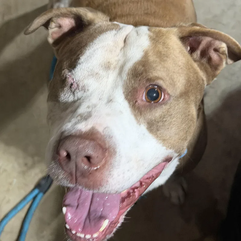 Theodore thumbnail 2