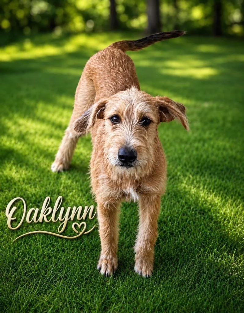 Oaklynn thumbnail 2