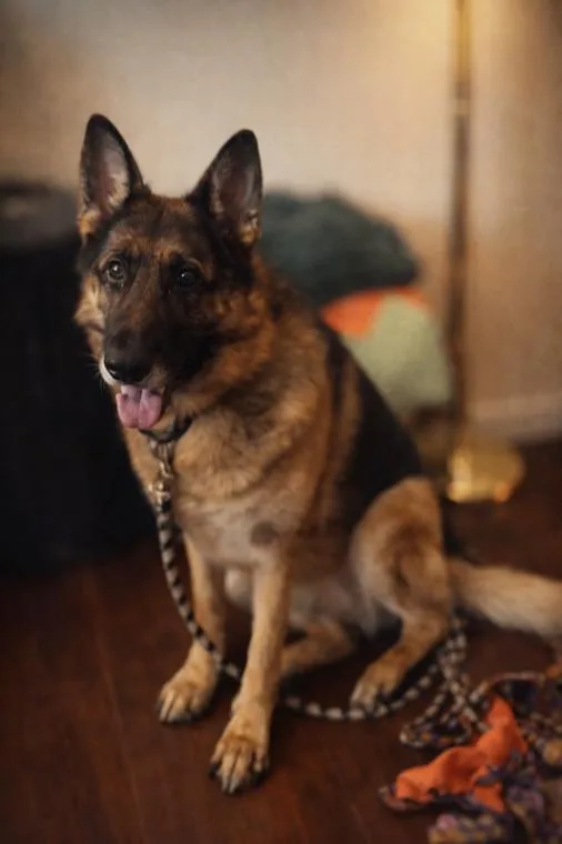 Charlotte thumbnail 2