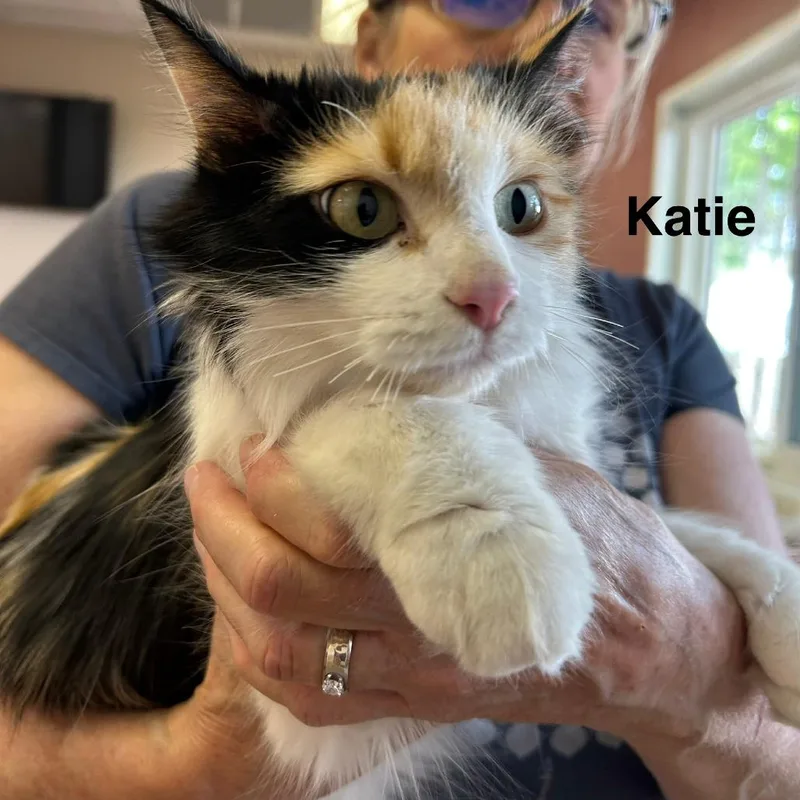 Katie