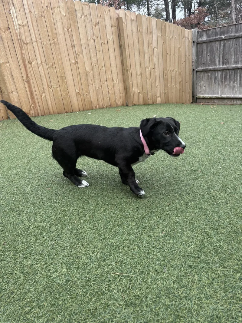 Bernadette thumbnail 2