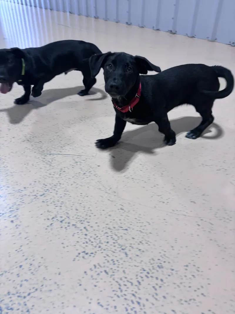 Bernadette thumbnail 3