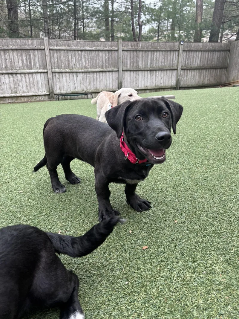 Bernadette thumbnail 4