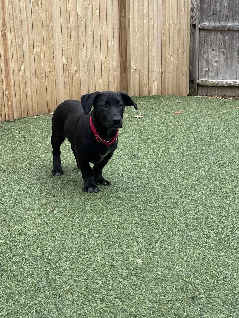 Bernadette thumbnail 5