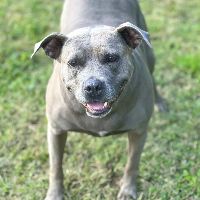 Beatrice thumbnail 5