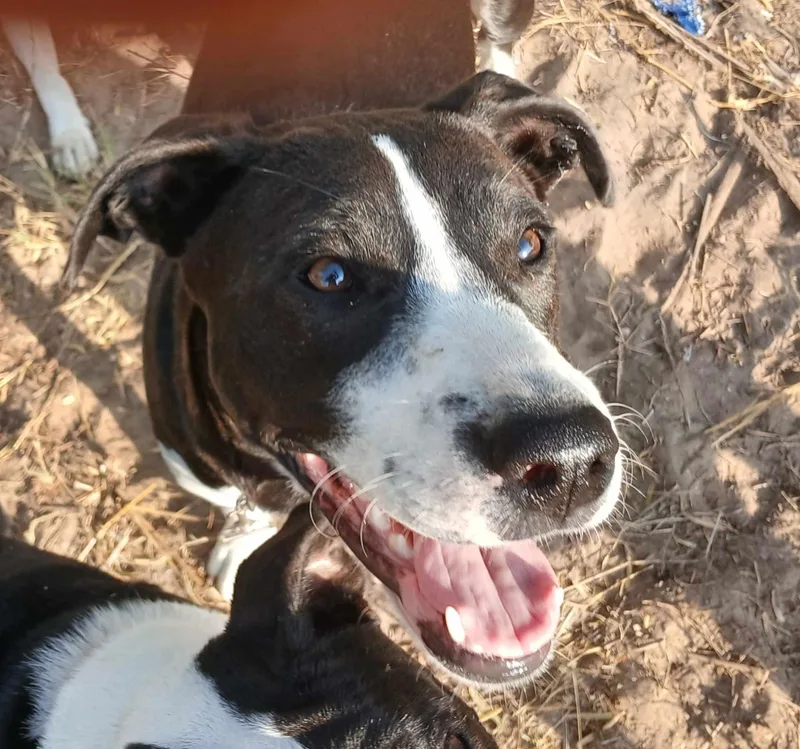 Juan Carlos thumbnail 3