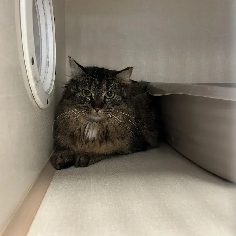 Guinness thumbnail 2