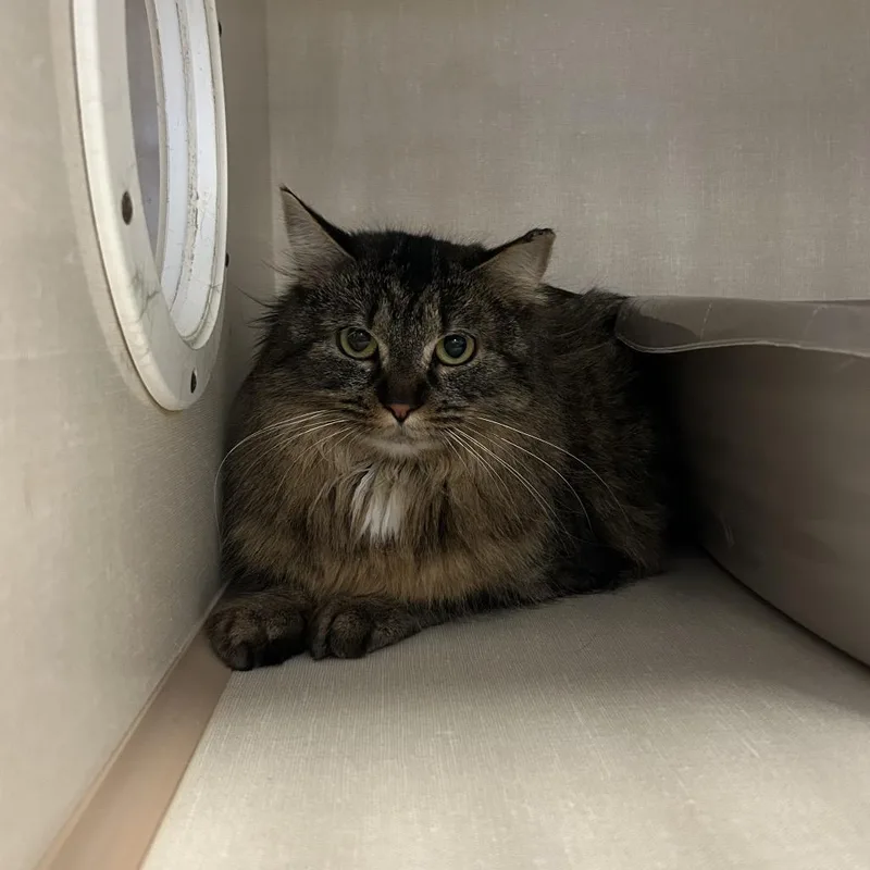 Guinness thumbnail 3