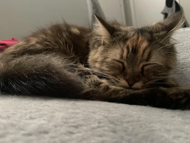 Esmeralda