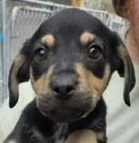 Lola Lilac thumbnail 2