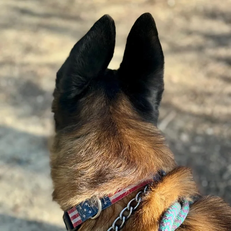 Marco Chino Hills Location thumbnail 3