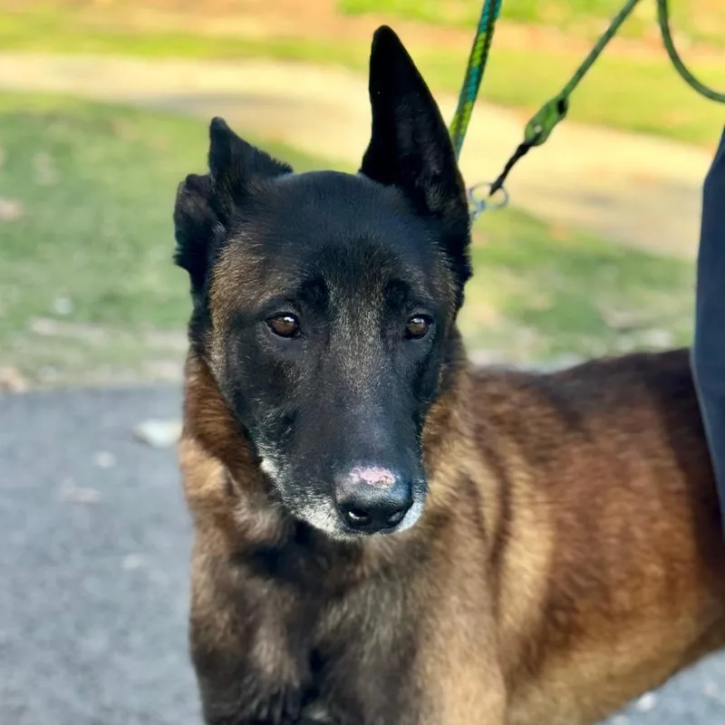 Marco Chino Hills Location thumbnail 4