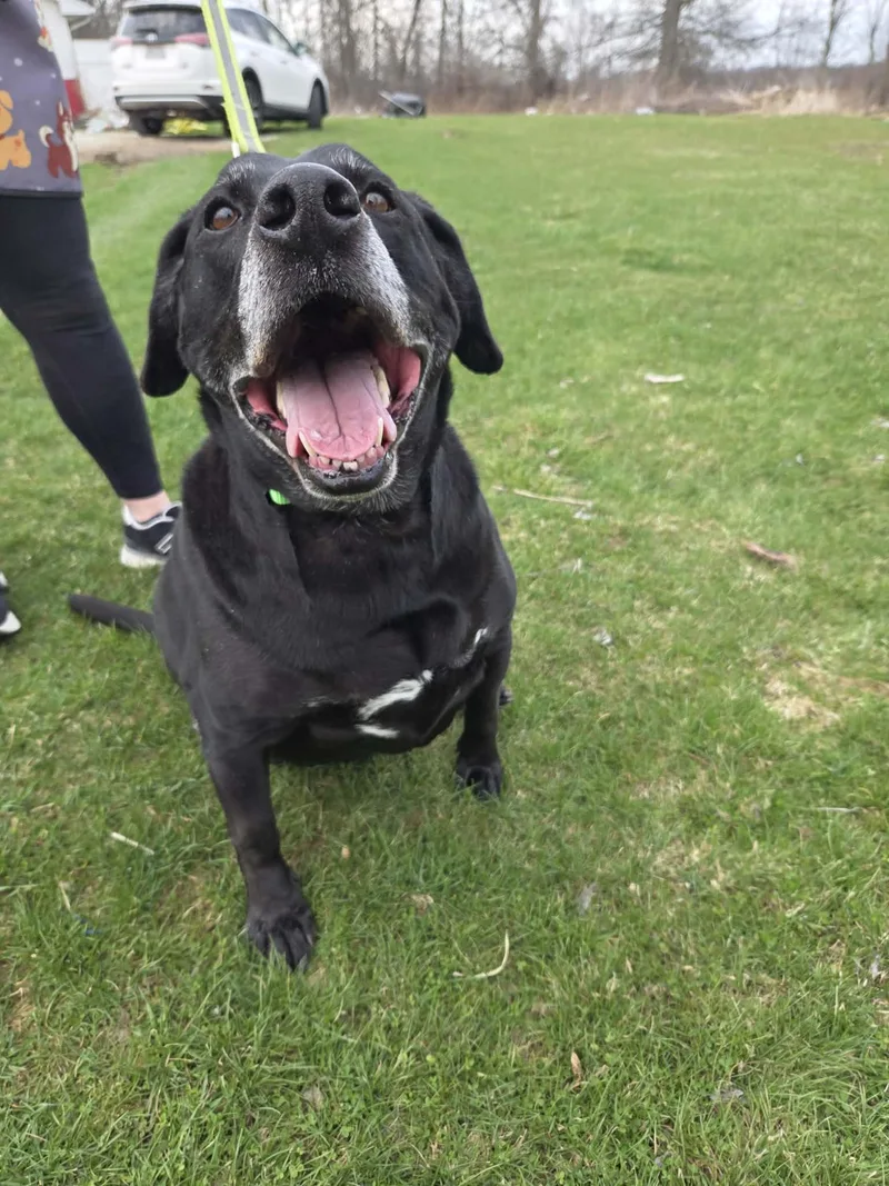 Rykernot Accepting Applications Yet!\ thumbnail 3