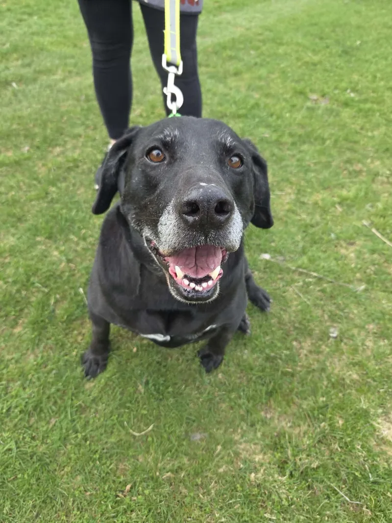 Rykernot Accepting Applications Yet!\