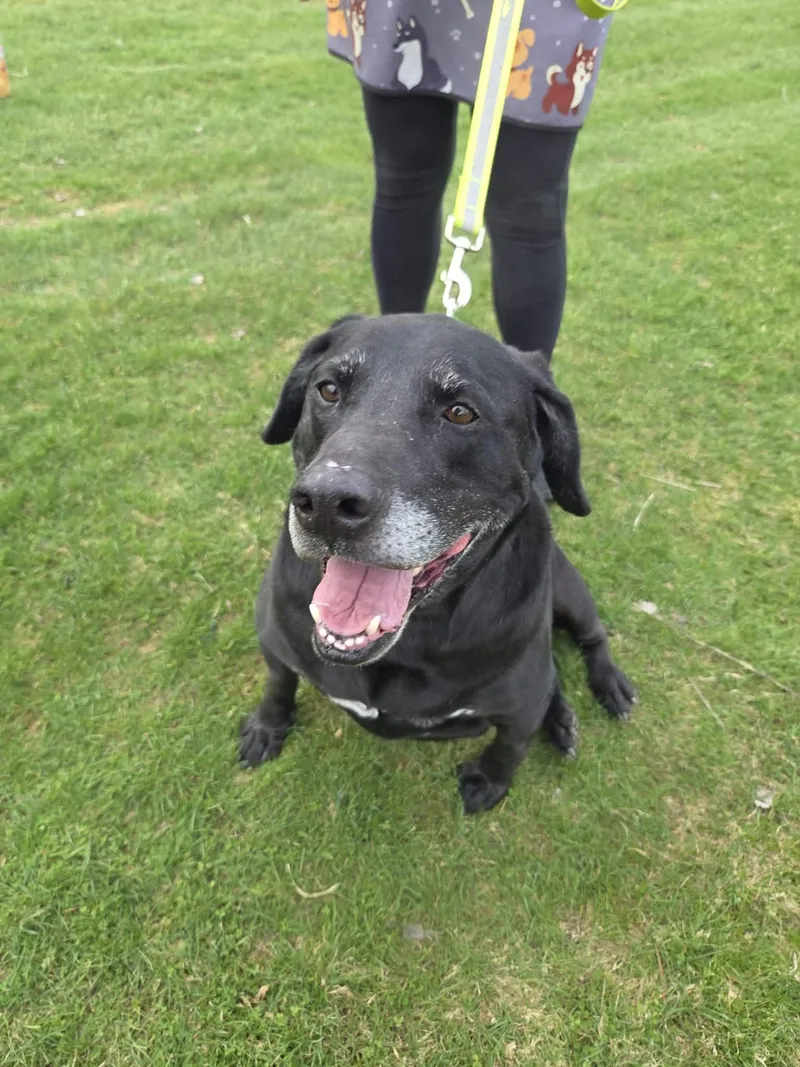 Rykernot Accepting Applications Yet!\ thumbnail 4