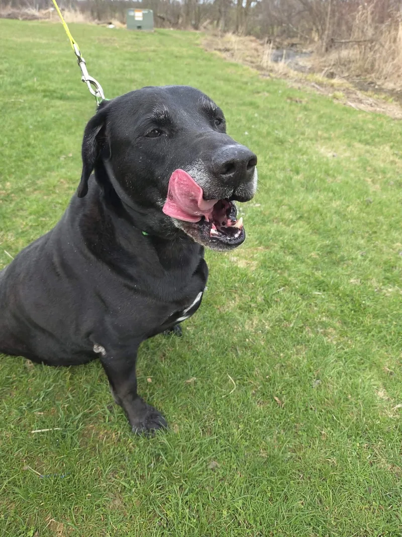 Rykernot Accepting Applications Yet!\ thumbnail 5